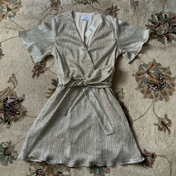 NWT Anthro Waverly Grey Mini Dress - Picture 3 of 7